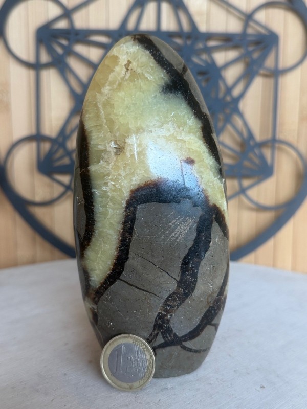 Septaria (0.61kg)