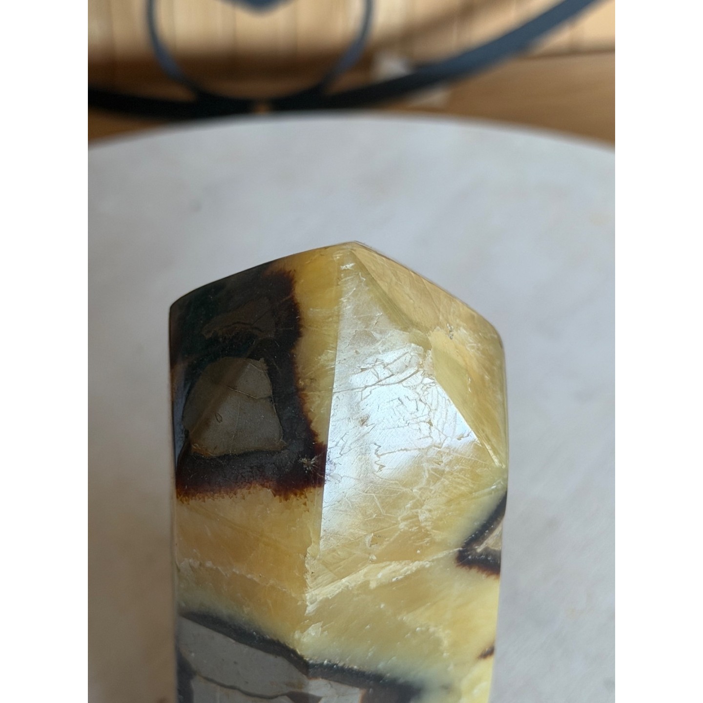 Septaria (0.705kg)