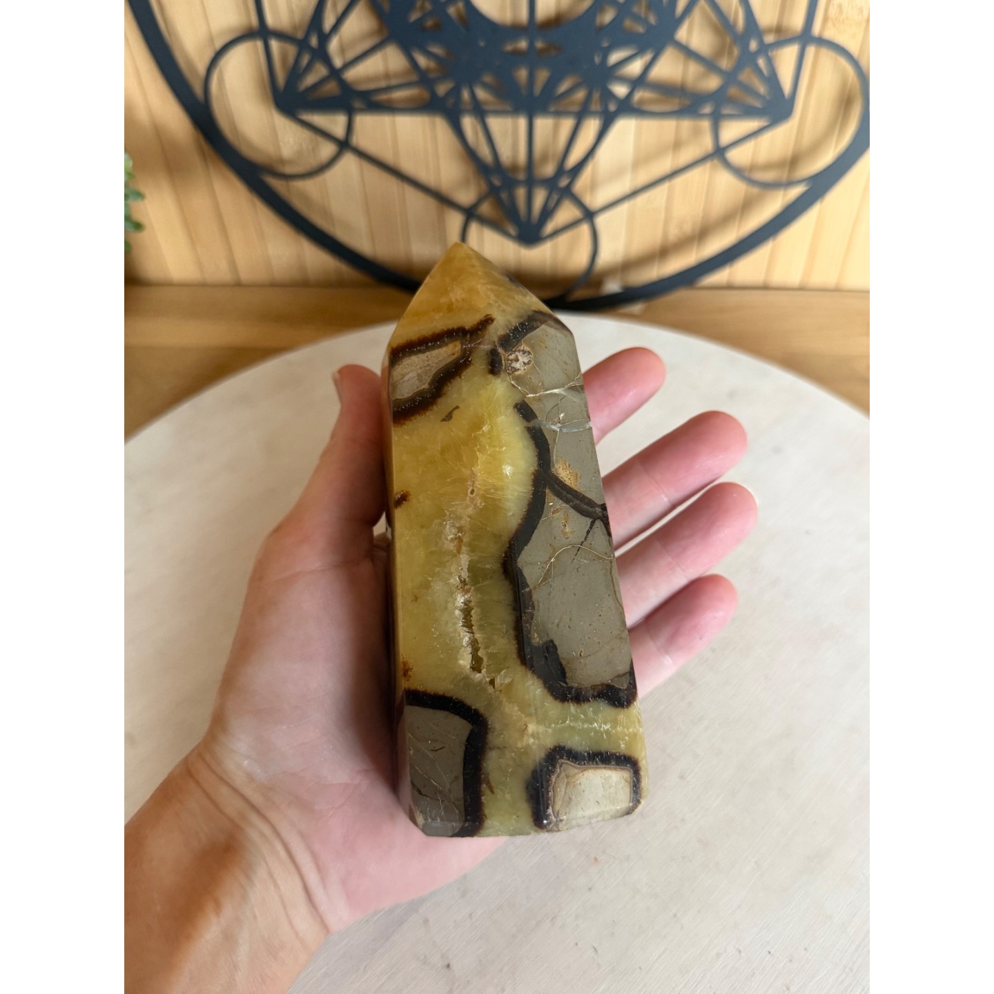Septaria (0.705kg)