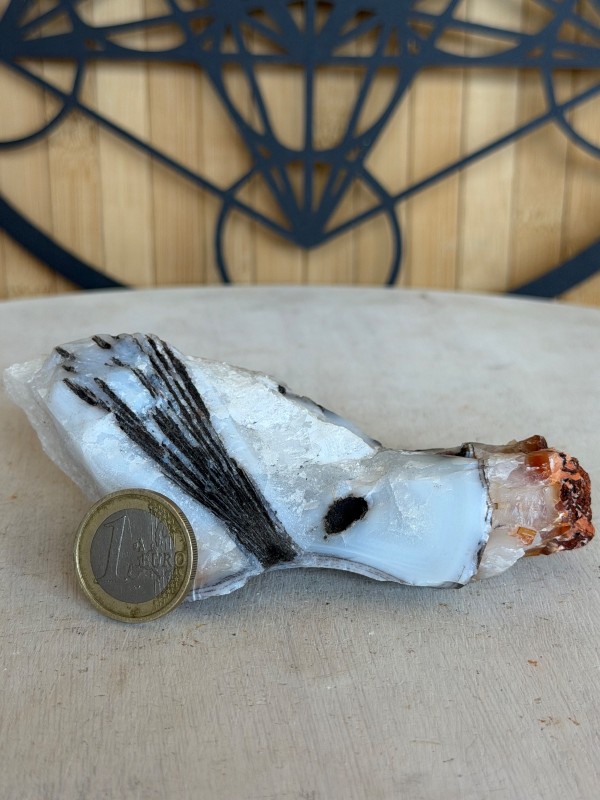 Agate cornaline sagénite (0.163kg)