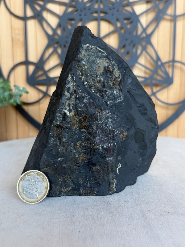 Shungite brute (0.58kg)