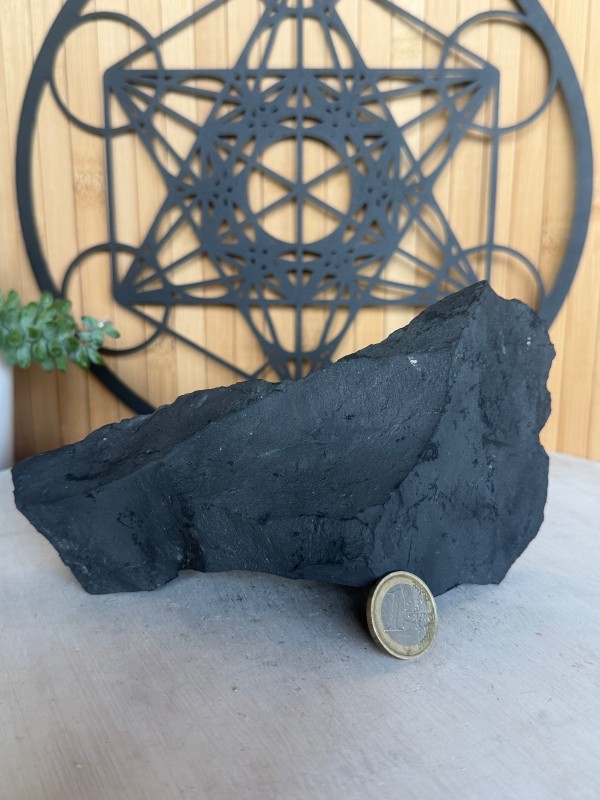 Shungite brute (0.655kg)