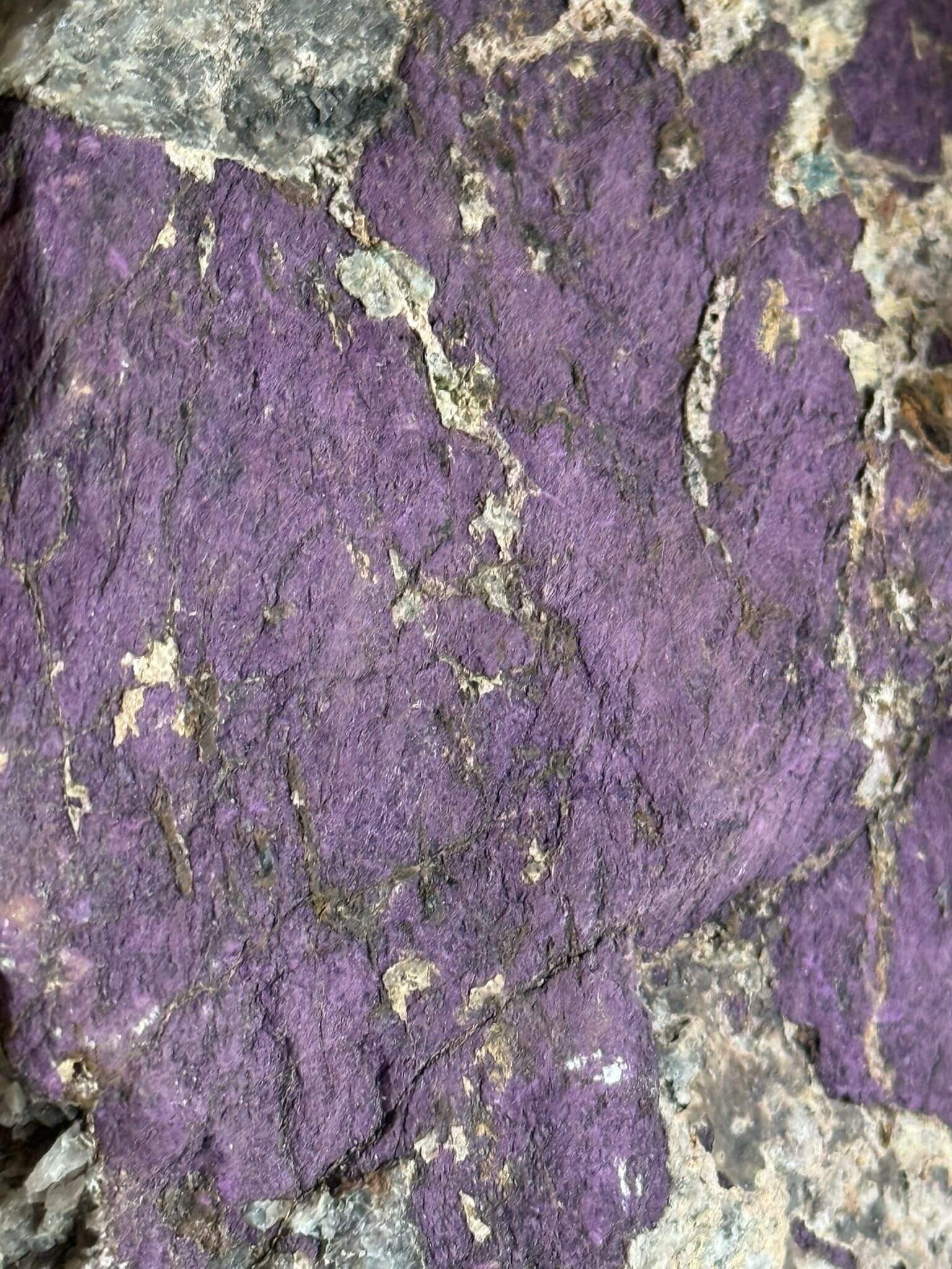 Purpurite
